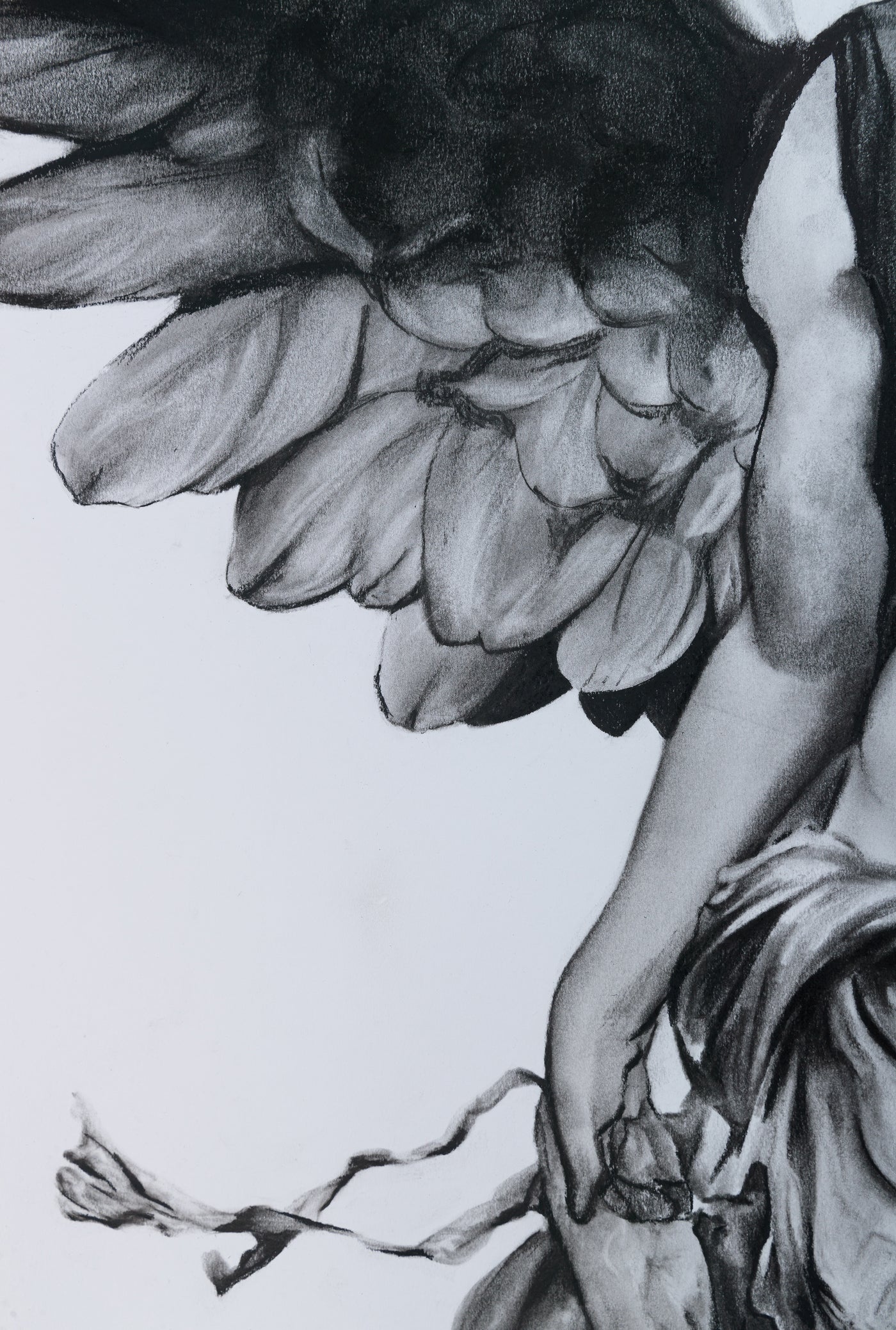 Reproducción numerada Ángel Alado - EDICIÓN LIMITADA